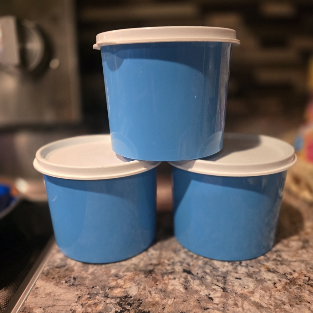 Set of 3 Blue Plastic Storage Tubs with White Lids